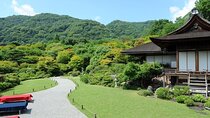 Arashiyama Bamboo & "Must See" Gardens with an Amazing Guide