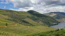 Private Tour of Douro Valley from Porto & Vila Nova de Gaia