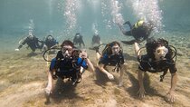 Try Scuba Diving in Athens