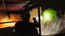 Night Experience in National Park with Hotel Pick Up