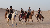 1 Hour horse Ride and Jeep adventure with stargazing -Hurghada