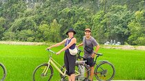 1-Day Private Tour to Ninh Binh: Tam Coc & Hoa Lu