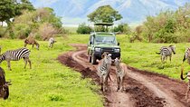 3 Days Safari to Tarangire Ngorongoro and Lake Manyara