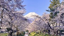 Mount Fuji and Oshino Hakkai Sightseeing Day Tour From Tokyo