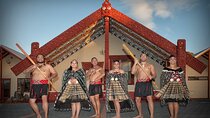 Rotorua Māori Village and Activity Combinations from Auckland