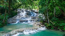 Dunn's River Private Tour from Montego Bay