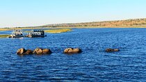 South Africa, Botswana and Zimbabwe Wildlife Adventure
