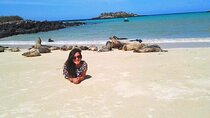 Multi Day Tour Around Galápagos Islands