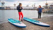 Kayak Or Paddle Board Tour on the San Francisco Bay