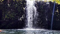 Halfway to Hana Tour of Maui Black Sand Beach Waterfalls Turtles