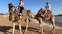 Agadir Camel Rides with Tea Drink and cakes
