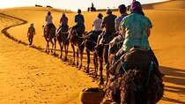  From Marrakech:3-Day sahara Desert Merzouga 
