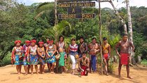 Wildlife boat tour at Gatun Lake and Embera Indian Village