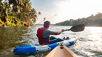 Backwater Kayaking Experience