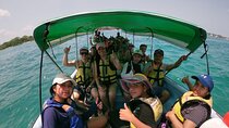 Full Day in Barú Mangroves and Luminous Plankton with Snorkeling