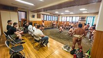 Tokyo Sumo Morning Practice Tour w/ Ring-Side Seat + Photo Shoot
