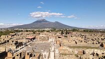 Private Tour of Pompei to Vesuvius Cantine Winery from Naples