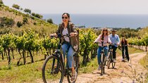 Beach Ride to the Vineyards and Wine Tasting from Barcelona