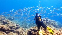 Scuba Diving for Beginner and Experts in Pefkos Lindos