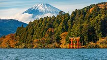Mount Fuji and Hakone Private Day Trip by Car/Van - in English