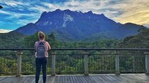 Kinabalu Park Tour with Desa Dairy Farm & Poring Hot Springs