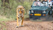 5-day Golden triangle with Jim Corbett national park Safari