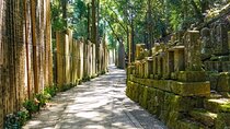 Kyoto to Mt. Koya One Day Walking Tour