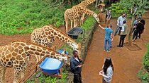 Private Tour To Giraffe Centre in Nairobi