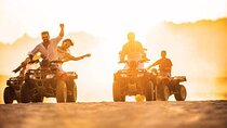 Morning or Afternoon Quad Safari free Transfer In Hurghada