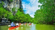 Half Day Bor Thor Mangrove Kayaking Tour from Krabi