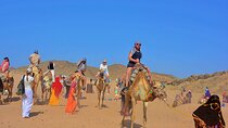 Hurghada Desert Safari with Quad, Jeep, Camel & Dinner