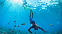 Key West Private Charter: Tailored Snorkeling & Reef Adventure