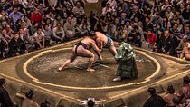 Sumo Tournament Experience in Osaka