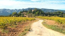 Authentic Countryside Day : vineyards, food & villages