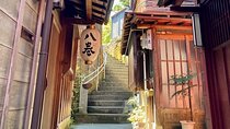 Private walking Tour of Kanazawa's Historical Districts 4h