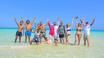 VIP -White Island & Ras Mohamed Snorkel Excursion