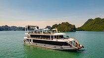 5 Star Day Cruise with Jacuzzi, Live Music and Gourmet Lunch