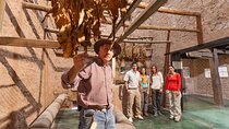 Tobacco Route Full Day Tour from Salta
