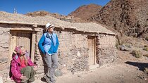San Antonio de los Cobres: Day Venture from Salta