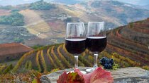 Private Tour Douro Valley from Porto