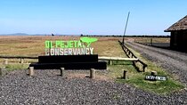 Private Day Tour to Olpajeta Conservancy From Nairobi