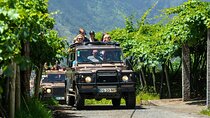 Madeira 4x4 Tour and Wine Tasting Experience 