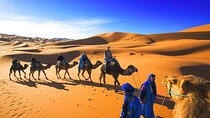 2-Day Sahara Desert Safari Ait BenHaddou Kasbah & Zagora Camp