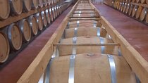 Bodega Tour XL Mallorca incl. 3x wine tasting pick up east coast