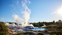 Auckland: Rotorua Māori Village, Waitomo Caves & Lunch