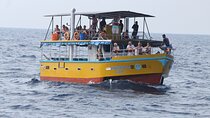 All Inclusive Mirissa Whale and Dolphin Watching Boat Ride