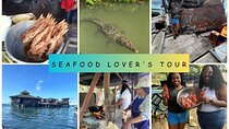 Private Seafood Tour and Floyds Pelican Bar or Black River Safari