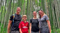 Private Day Tour - Kyoto Arashiyama & Bamboo Forest Perfect Tour!