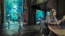 Dubai Lost Chambers Aquarium Admission E-Ticket