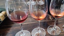 3-Hour Shared Greek Wine Tasting 